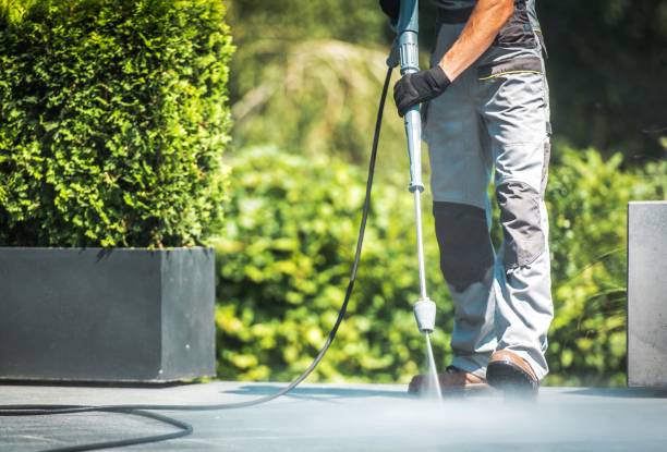 Best Fence Cleaning  in Vincent, CA